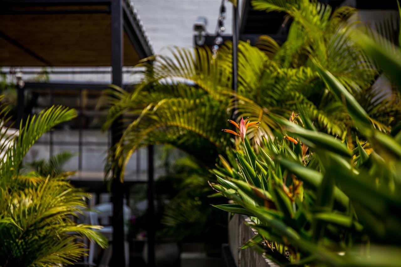 Alko Hotel Boutique Cali Exterior photo